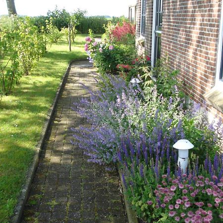 B&B Op De Vlakte Oosternijkerk Kültér fotó