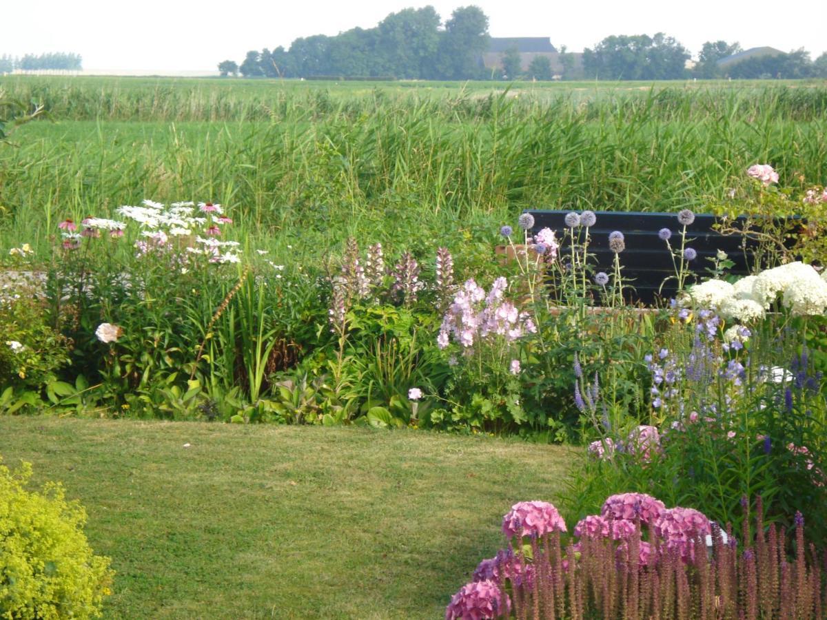 B&B Op De Vlakte Oosternijkerk Kültér fotó