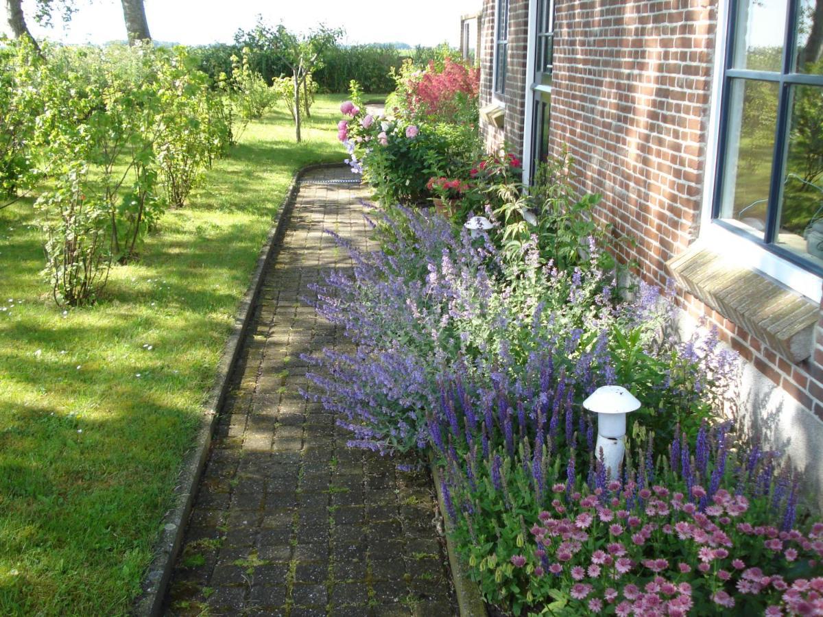 B&B Op De Vlakte Oosternijkerk Kültér fotó